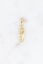 CHARMS HIPPOCAMPE