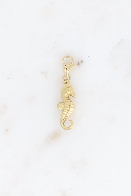 CHARMS HIPPOCAMPE